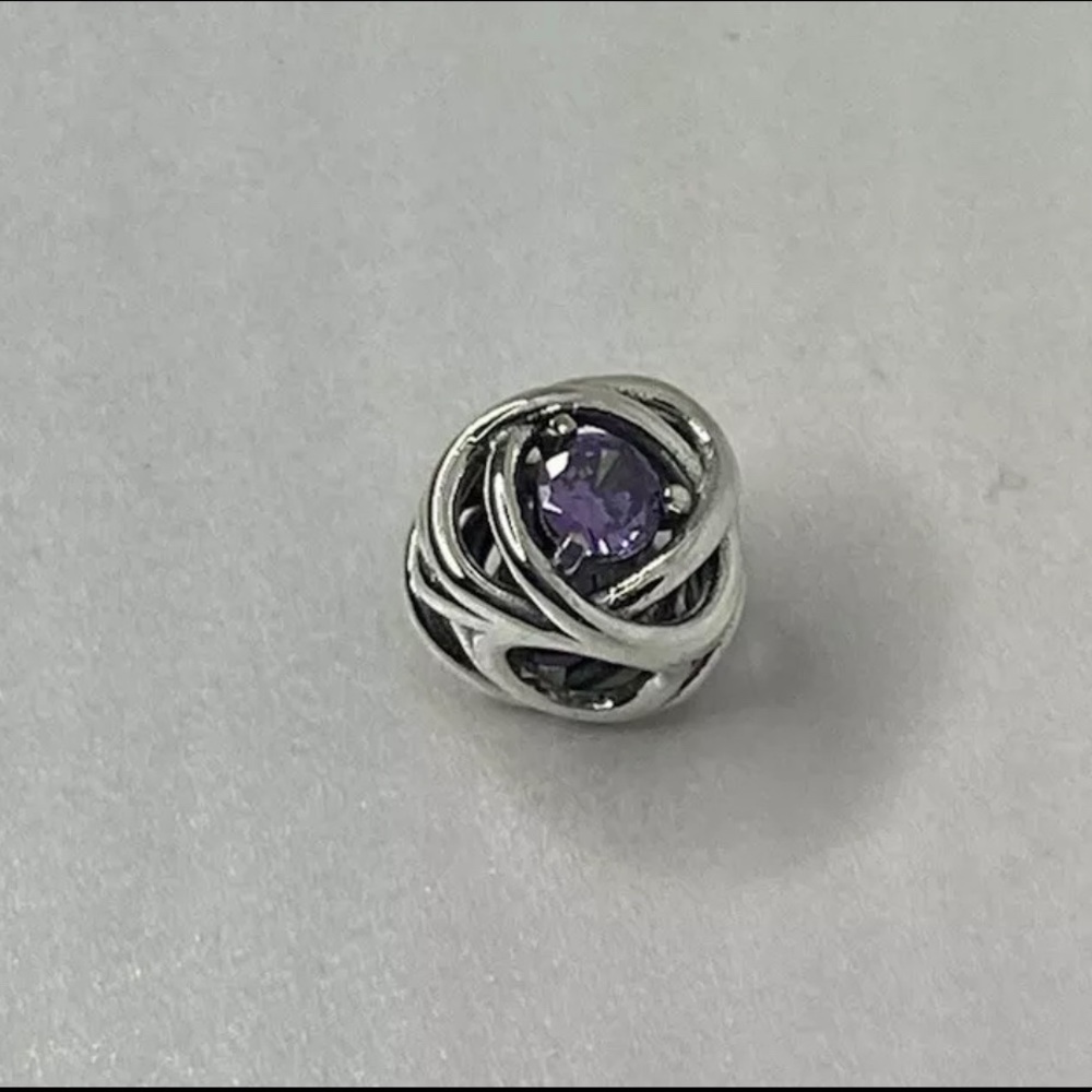 New Authentic Pandora 925 February Purple Eternity Circle Charm 790065#2
